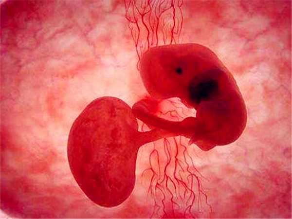 为什么试管过程中有的女性会被医生取消当月鲜胚移植？